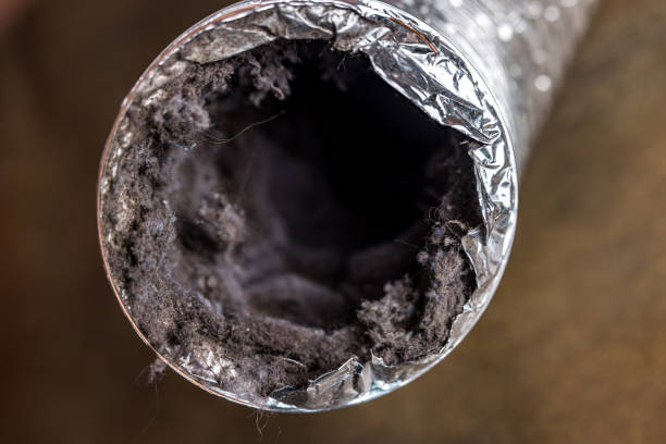 Best Air Duct Sanitizing Services  in Trenton, OH