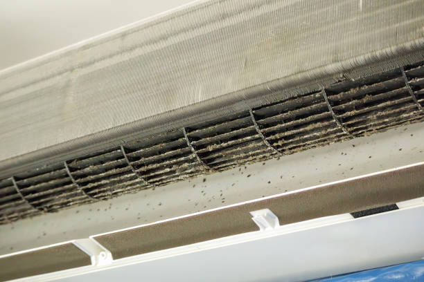 Best Ductwork Cleaning Services  in Trenton, OH